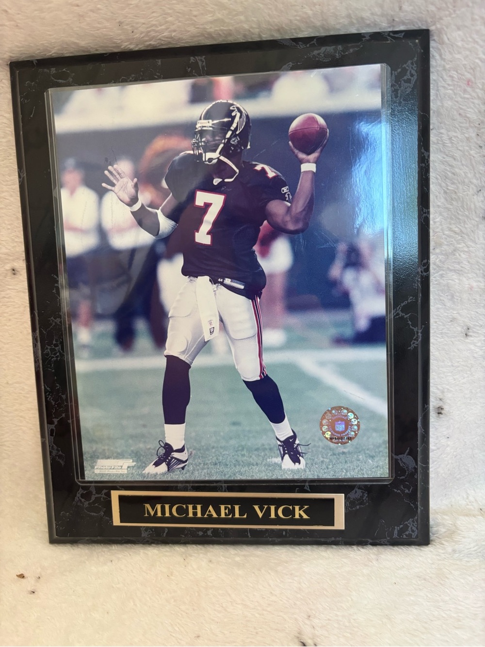 Michael Vick plaque with 2003 officially licensed